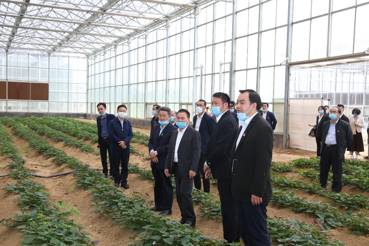 說(shuō)明: E:\ShareCache\賴妙苗\共享內(nèi)容\2020.03.17五華縣簽約儀式錄音\【文化中心拍攝圖片】五華花卉種植項(xiàng)目簽約儀式\DE5A5140.JPG